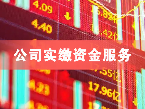 湖州公司实缴资金服务