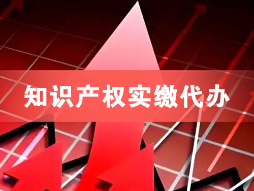 湖州知识产权实缴资本代办